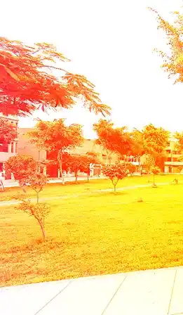 Mudanza Los Olivos Mayo 2026