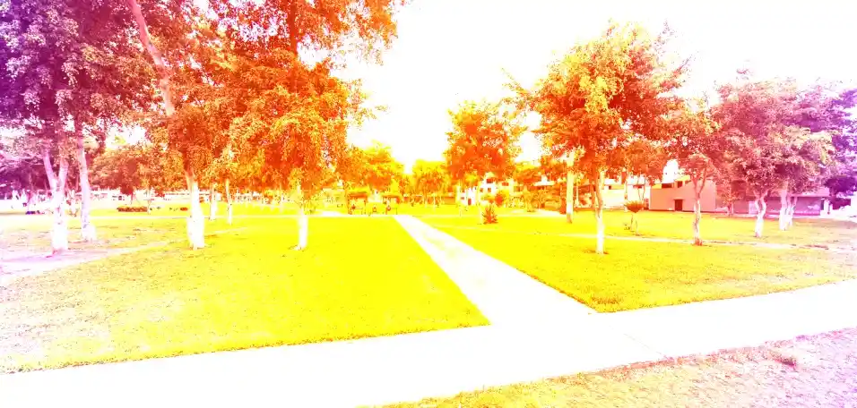 Mudanza Los Olivos Abril 2026